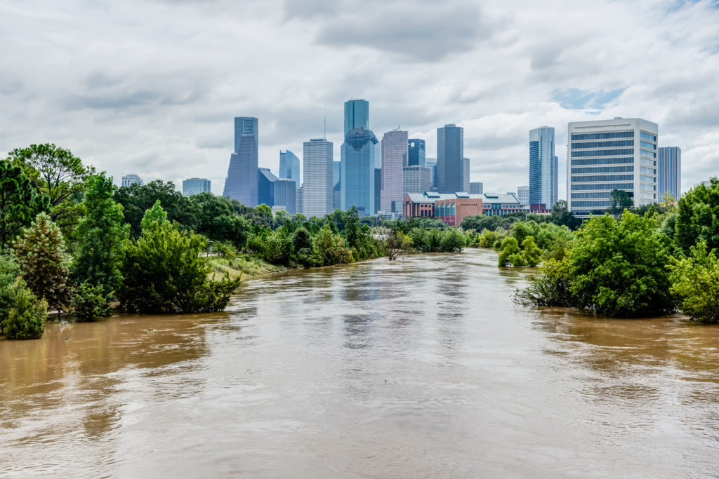 Houston-park-flooded
