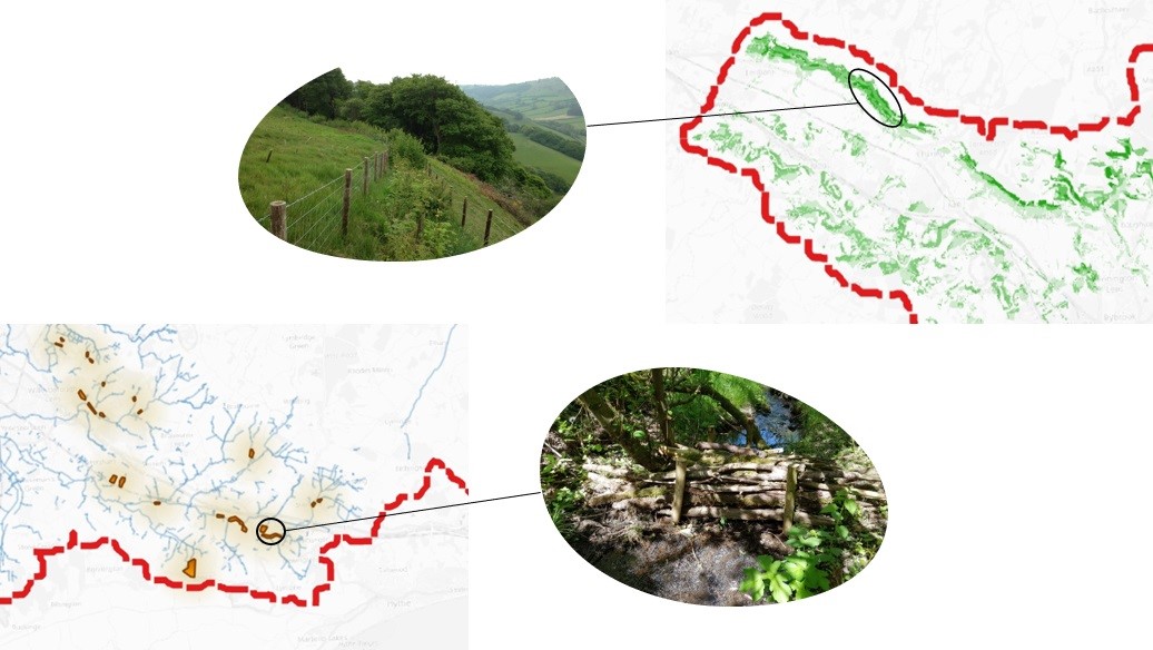 The images show examples from Kent, UK of how the FloodNbS model outputs can be used to identify beneficial catchment interventions such as hedgerows and leaky dams.